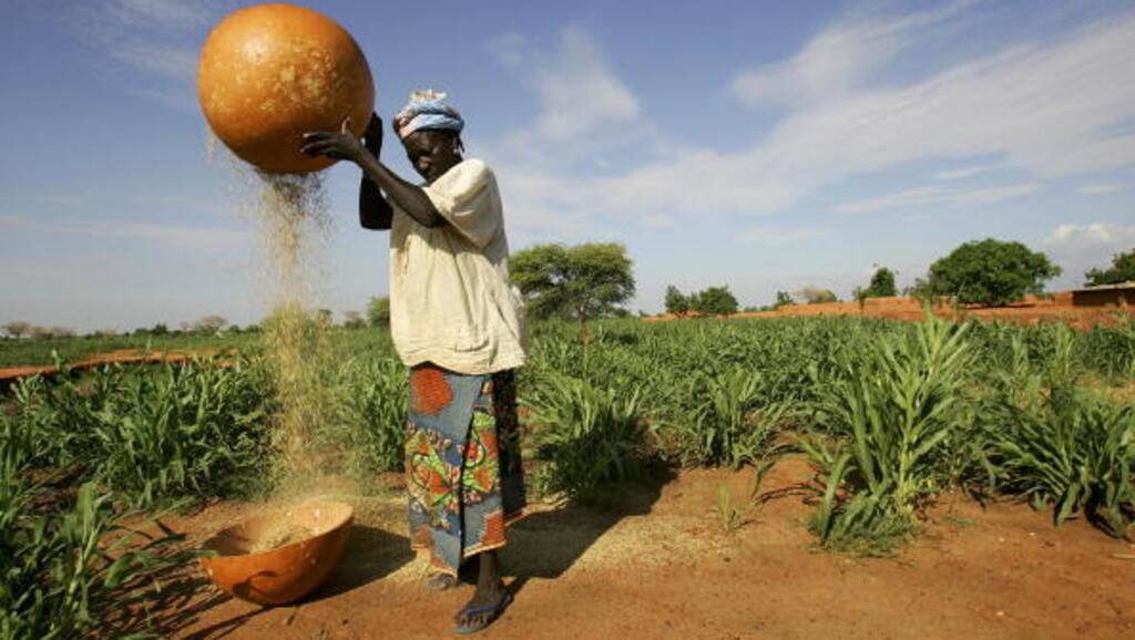 L'agriculture au Niger